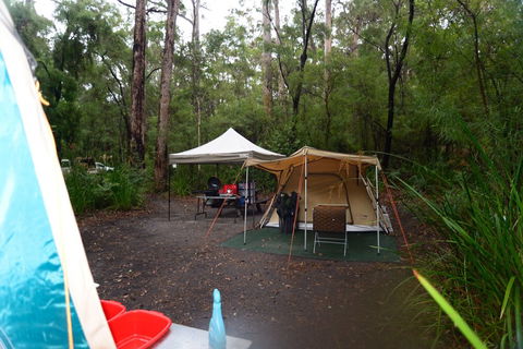 WA Wilderness - Accommodation in Surfers Paradise 3