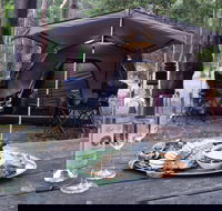 WA Wilderness - Accommodation in Surfers Paradise