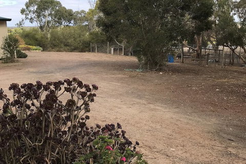 Padthaway Caravan Park - Accommodation in Surfers Paradise 1