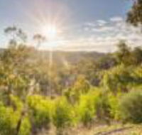 Skillogalee - Accommodation in Surfers Paradise