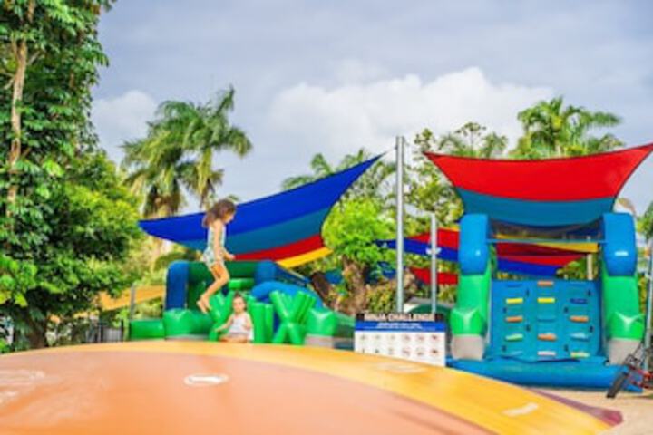 Flametree QLD Accommodation in Surfers Paradise