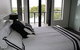 River Devine Murray Bridge - thumb 5
