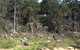 Murphy's Creek Hideaway - thumb 1
