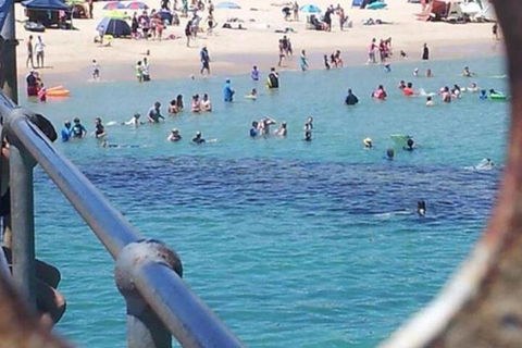 Waterfront Port Noarlunga - Accommodation in Surfers Paradise 2