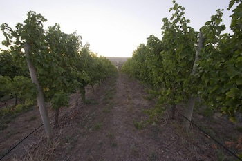 Barristers Block Vigneron Villa - Accommodation in Surfers Paradise 4