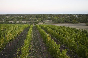 Barristers Block Vigneron Villa - Accommodation in Surfers Paradise 3