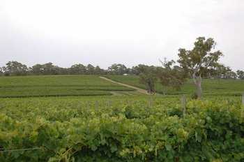 Barristers Block Vigneron Villa - Accommodation in Surfers Paradise 6