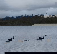 Lake Yalleena Nature Retreat - Accommodation in Surfers Paradise