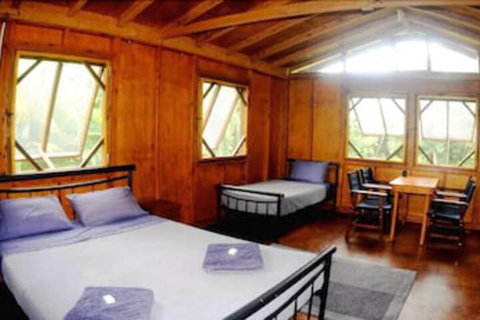 Daintree Rainforest Bungalows - Accommodation in Surfers Paradise 5