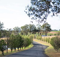 voco Kirkton Park Hunter Valley  an IHG Hotel - Accommodation in Surfers Paradise