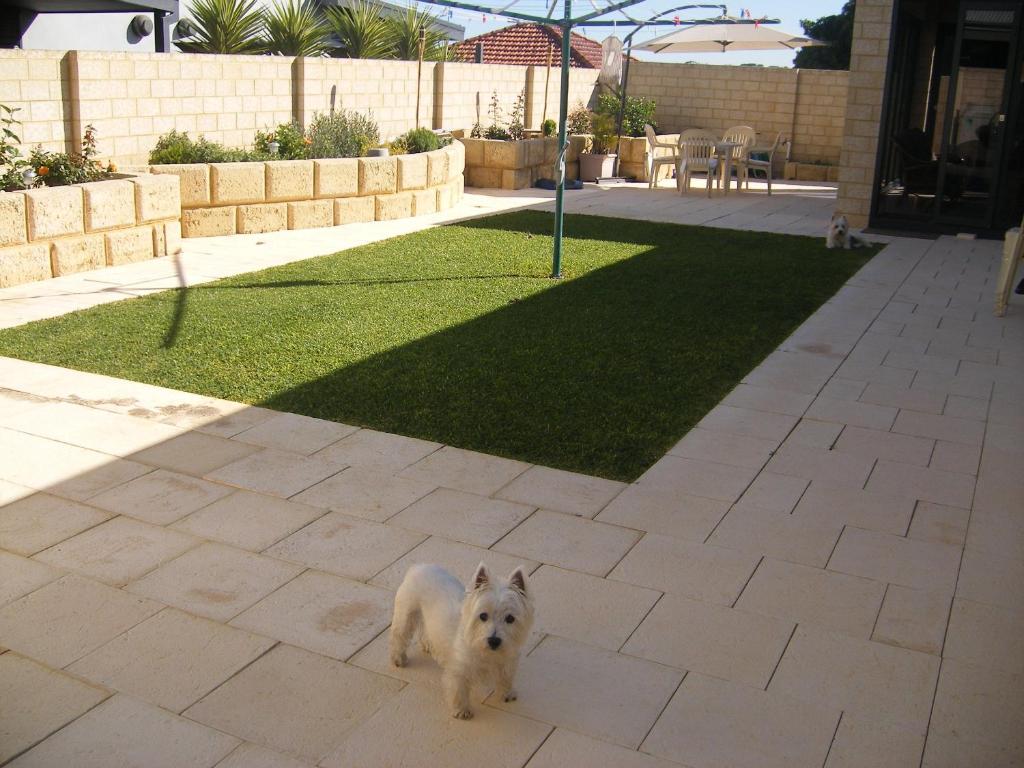  Accommodation in Surfers Paradise