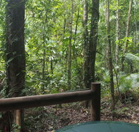 Daintree Crocodylus - Accommodation in Surfers Paradise