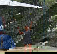 Blackwattle at Barrington Tops