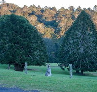 Escape to the Country - Enjoy the Firepit or Explore Magical Bunya Mountains - Accommodation in Surfers Paradise