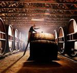 Pieter van Gent Winery  Vineyard