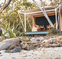 Wilson Island - Accommodation in Surfers Paradise