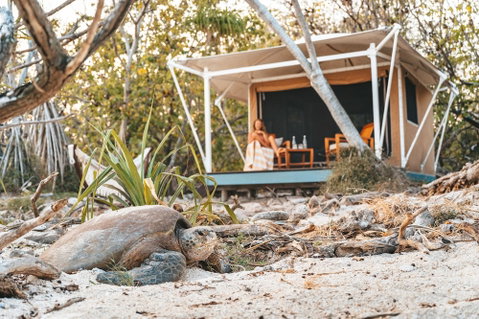 Wilson Island - Accommodation in Surfers Paradise 0