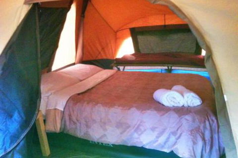 WA Wilderness Glamping - Accommodation in Surfers Paradise 3