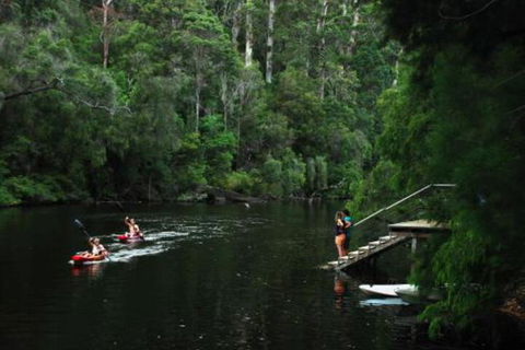 WA Wilderness Glamping - Accommodation in Surfers Paradise 4