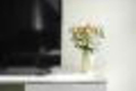 TWIG CBD Water Views - Accommodation in Surfers Paradise 6