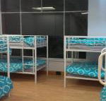 Wombat Backpackers - Accommodation in Surfers Paradise