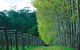 Hawke Brook Chalets - thumb 2