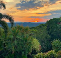 Daintree Manor Bed  Breakfast - Accommodation in Surfers Paradise
