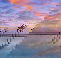 Global Backpackers Cairns - Accommodation in Surfers Paradise