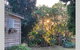 Stunning Queenslander - thumb 2