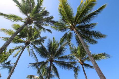 Easy Going Holiday Unit On McKenzie MK5 - Accommodation in Surfers Paradise 5