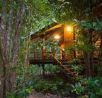 Wildwood - Accommodation in Surfers Paradise
