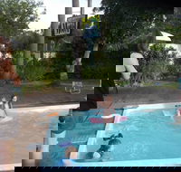 Corlette Palms Motor Inn