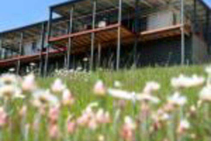 Abels Bay TAS Accommodation in Surfers Paradise