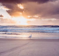 Blue Waters Motel - Accommodation in Surfers Paradise