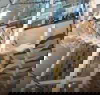 Platinum Suites Fremantle - Accommodation in Surfers Paradise