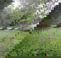 Amy's House - Accommodation in Surfers Paradise