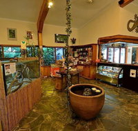 Lync Haven Rain Forest Retreat - Accommodation in Surfers Paradise