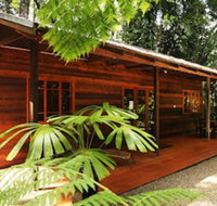 Daintree Cascades - Accommodation in Surfers Paradise