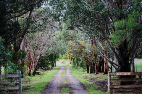 Galwiji Homestead - Accommodation in Surfers Paradise 7
