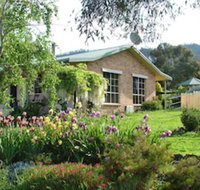 Halls on Falls Homestead - Accommodation in Surfers Paradise