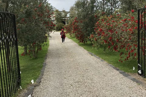 Harmony Bed & Breakfast - Accommodation in Surfers Paradise 2