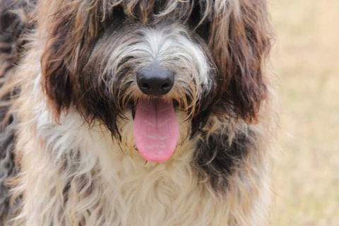 Harmony Bed & Breakfast - Accommodation in Surfers Paradise 3