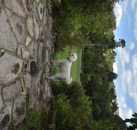 Coverdales B  B at Eumundi - Accommodation in Surfers Paradise