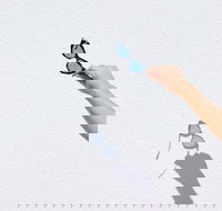 The Sails Motel Brunswick Heads - Accommodation in Surfers Paradise