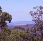 Ravensbourne Escape Cedar Lodge - Accommodation in Surfers Paradise