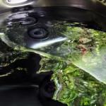 Mudstone Spa Retreat - Accommodation in Surfers Paradise 1