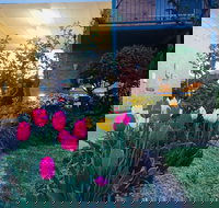 The Vines Motel and Cottages - Accommodation in Surfers Paradise