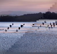 Tallebudgera Creek Tourist Park