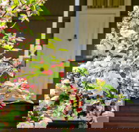 Apple Blossom Cottage - Accommodation in Surfers Paradise