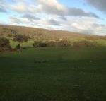 Mancuso Country Cottage Retreat - Accommodation in Surfers Paradise